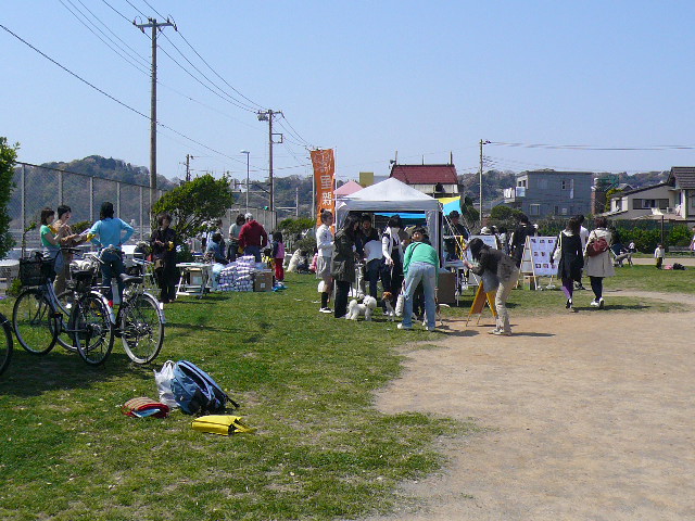 a0053598_21324836.jpg
