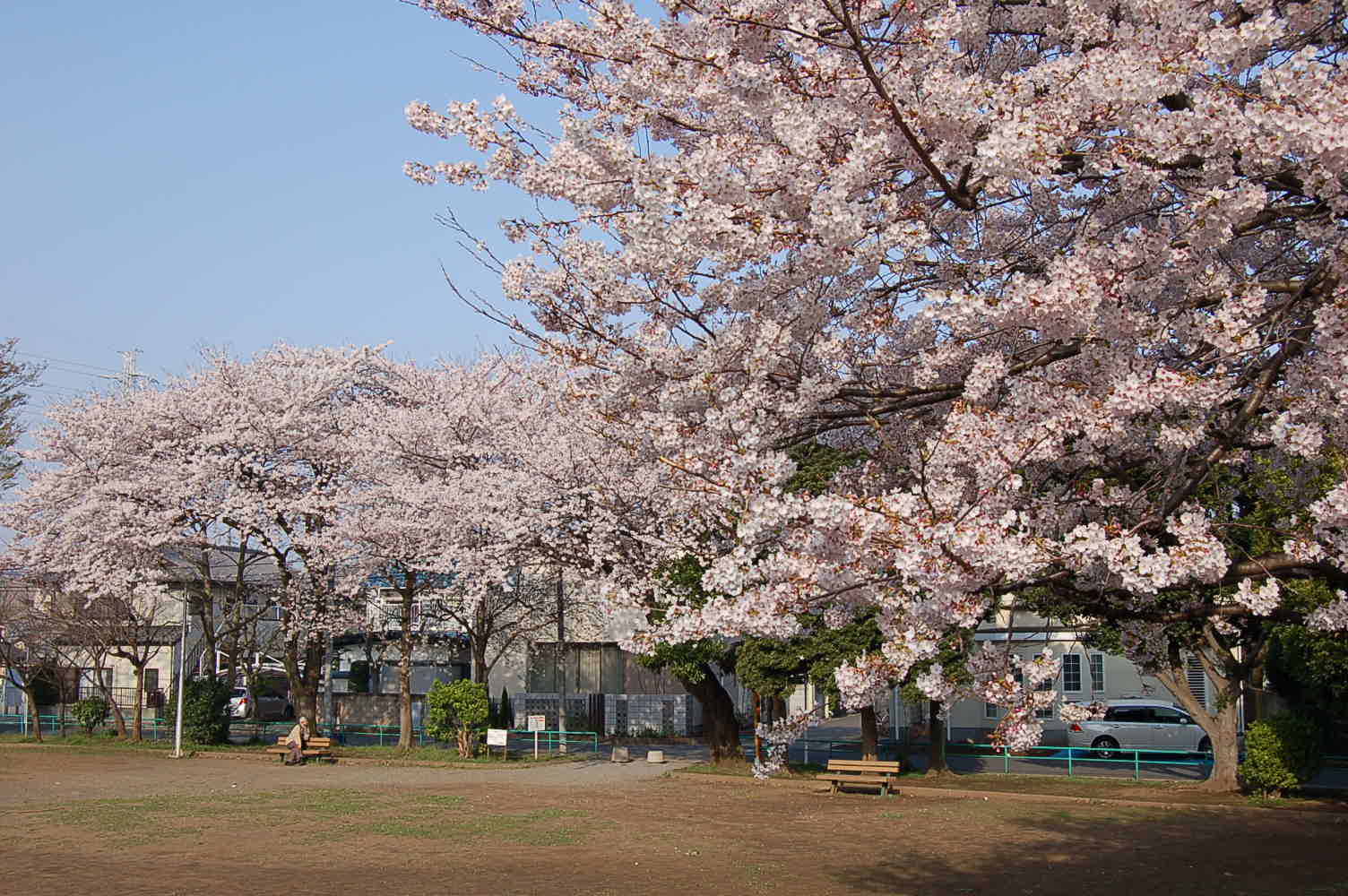 f0108399_2222152.jpg