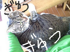 c0035001_14203832.jpg