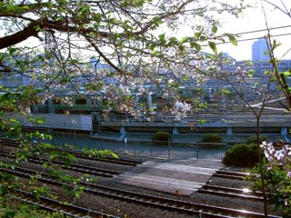 d0004301_2327443.jpg
