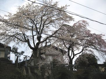 b0044804_14211069.jpg
