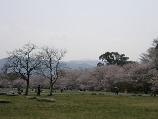 b0061107_744792.jpg