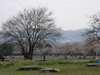 b0061107_751310.jpg