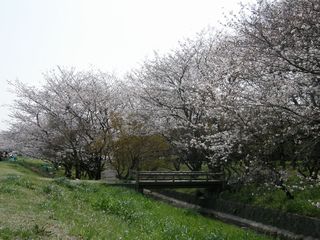 b0061107_763086.jpg
