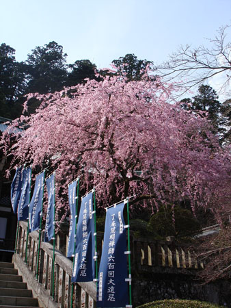 a0068810_20391249.jpg