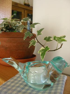 e0132011_20485663.jpg