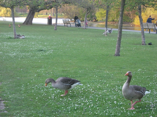 f0077414_11233199.jpg