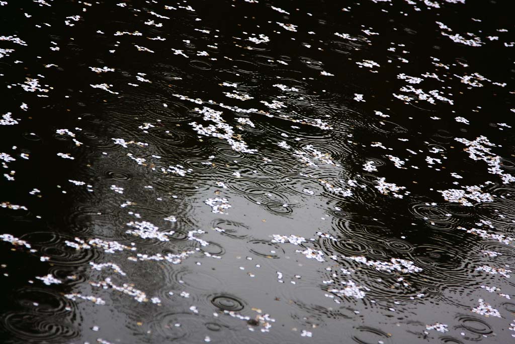 d0085715_23582398.jpg