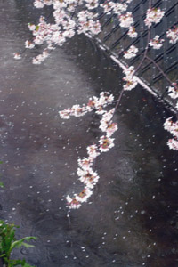 e0083517_1345372.jpg