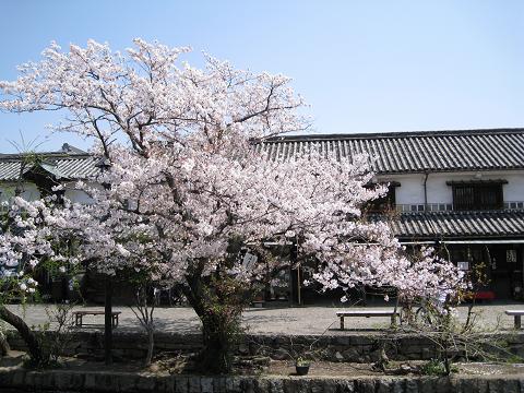 b0109220_14393660.jpg