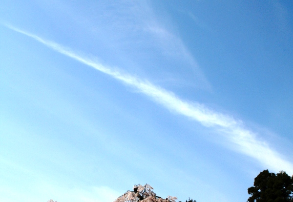 d0027320_2152735.jpg
