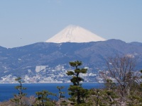 d0006323_10462738.jpg