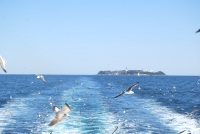 d0006323_104718.jpg
