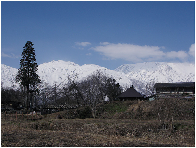 c0042324_1591665.jpg