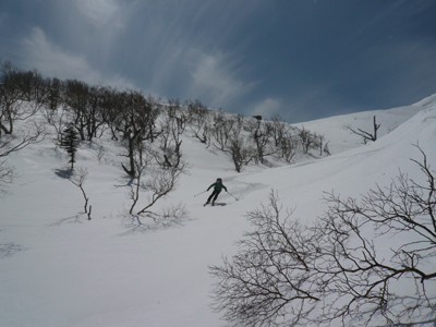 a0049226_2152069.jpg