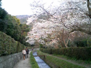 f0054428_1338163.jpg