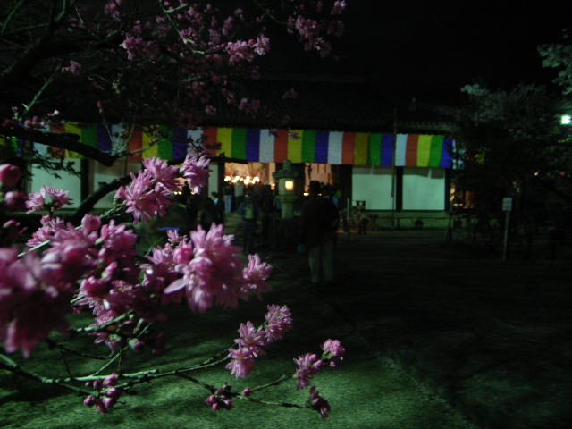 d0105133_22172824.jpg