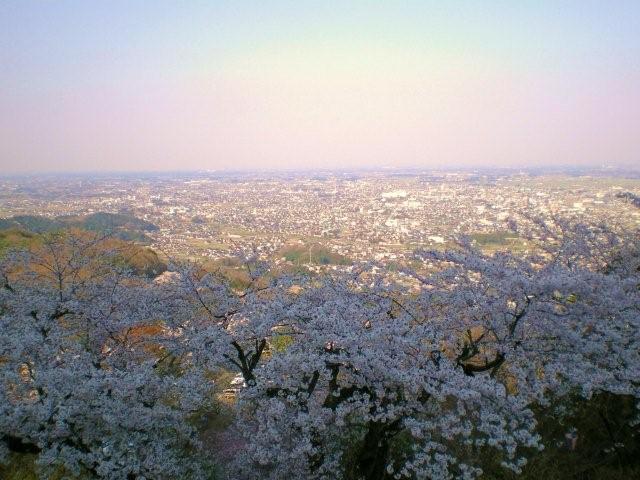 c0130741_22461978.jpg