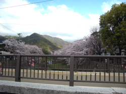 d0047646_23141261.jpg
