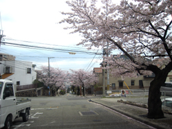 d0047646_23231548.jpg