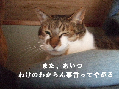 e0121548_1535369.jpg