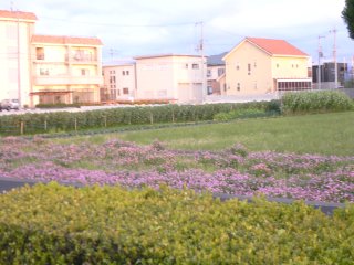a0008549_23571645.jpg