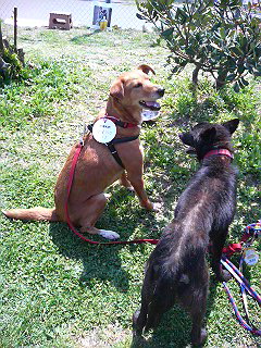 b0072650_21244770.jpg