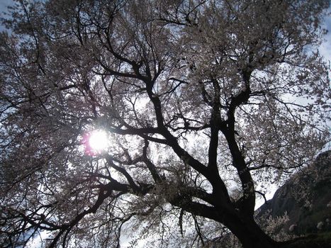 c0004750_22344170.jpg