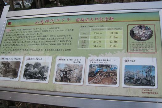 c0004750_22354111.jpg