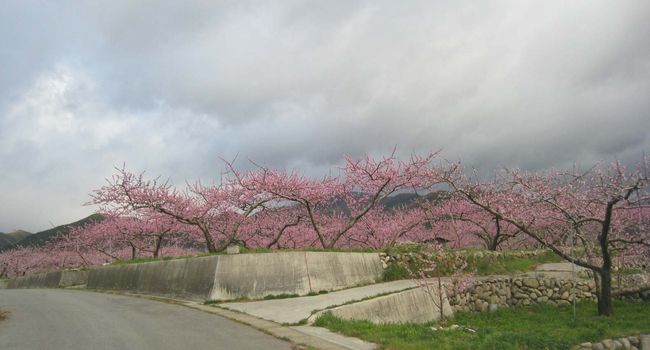 c0004750_22362830.jpg