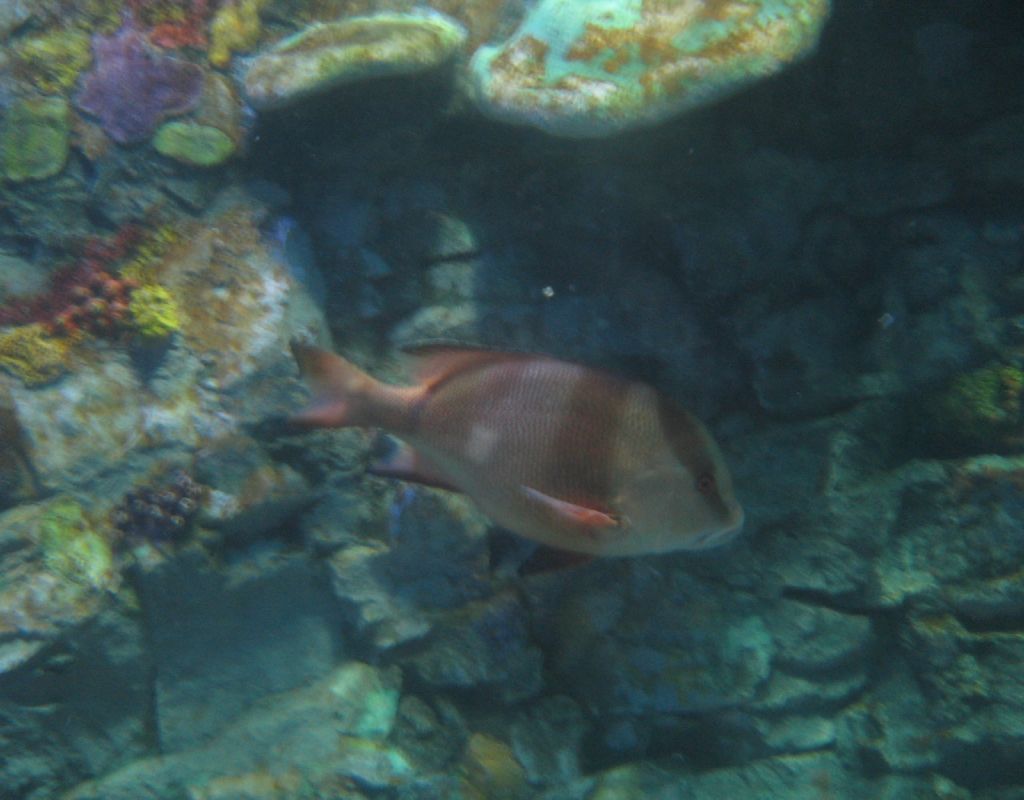 b0082551_701419.jpg