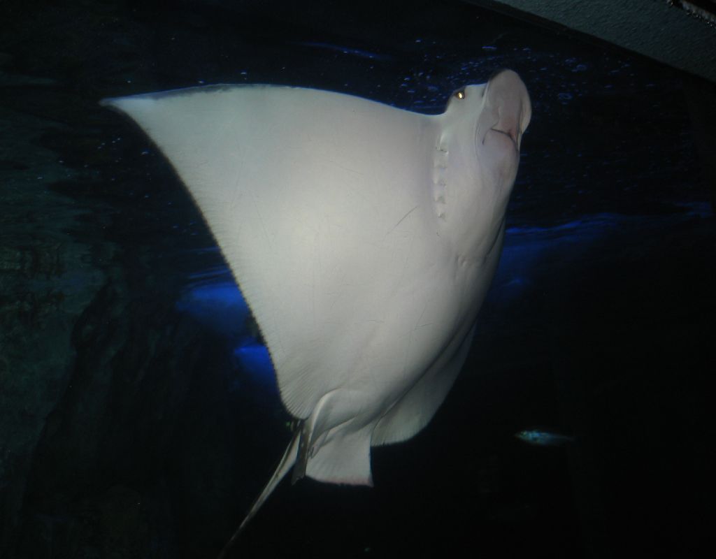 b0082551_74095.jpg