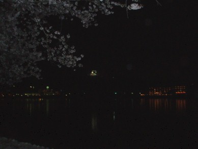 c0127555_2194749.jpg