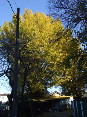 b0045357_10205995.jpg
