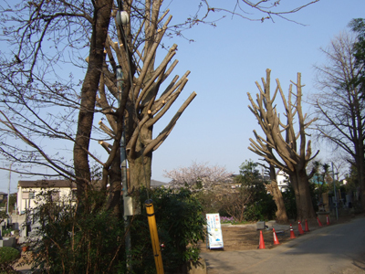 b0045357_10215713.jpg