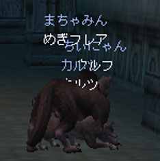 a0082859_4475453.jpg