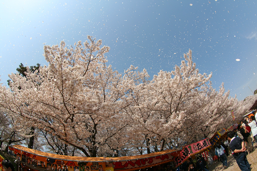 d0148060_8462590.jpg