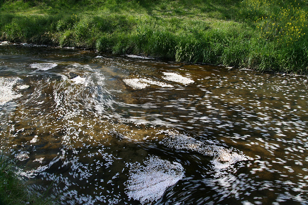 d0148060_850788.jpg