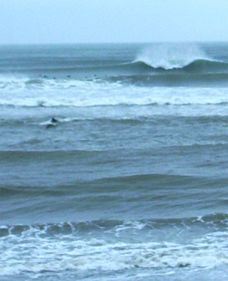 e0052268_1730684.jpg