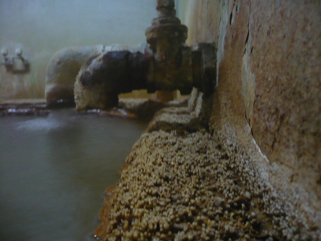 f0050468_0465881.jpg
