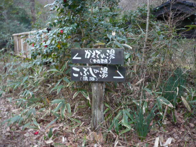 f0050468_049128.jpg