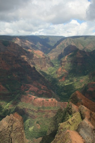 d0035269_11502599.jpg