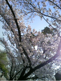 e0081772_13295120.jpg