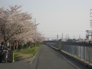 b0117276_095234.jpg