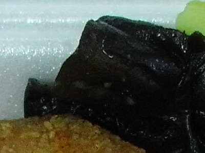 a0002177_12344844.jpg