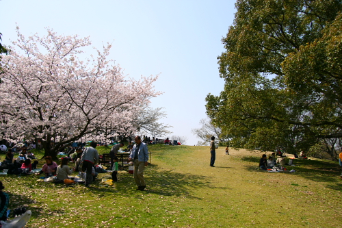 b0115579_227394.jpg