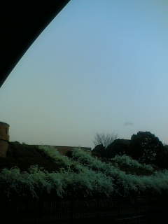 f0100480_1813041.jpg