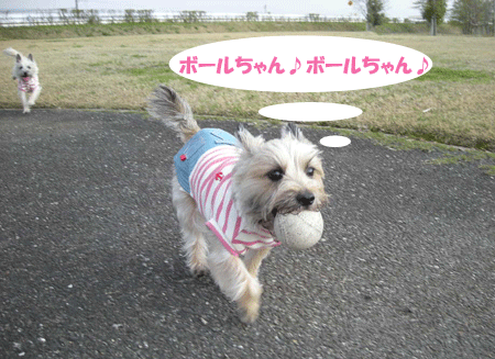 e0066883_22211340.gif