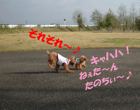 e0066883_2223284.gif