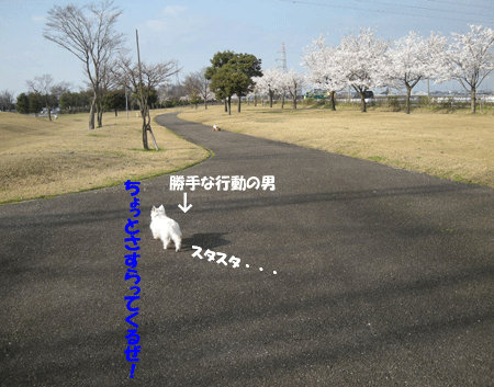 e0066883_2224415.gif